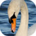 Waterways Breeding Bird Survey