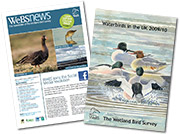 WeBS Report & WeBS News