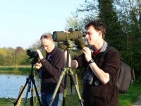 Surveyors. Dawn Balmer