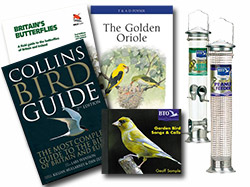 BTO Special Offers