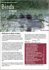 Download the Birds in View newsletter Birds in View newsletter cover