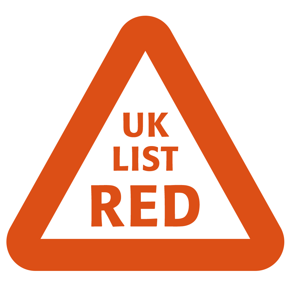 Velvet Scoter is on the UK Red list for conservation status