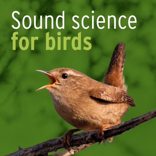 Support our latest appeal