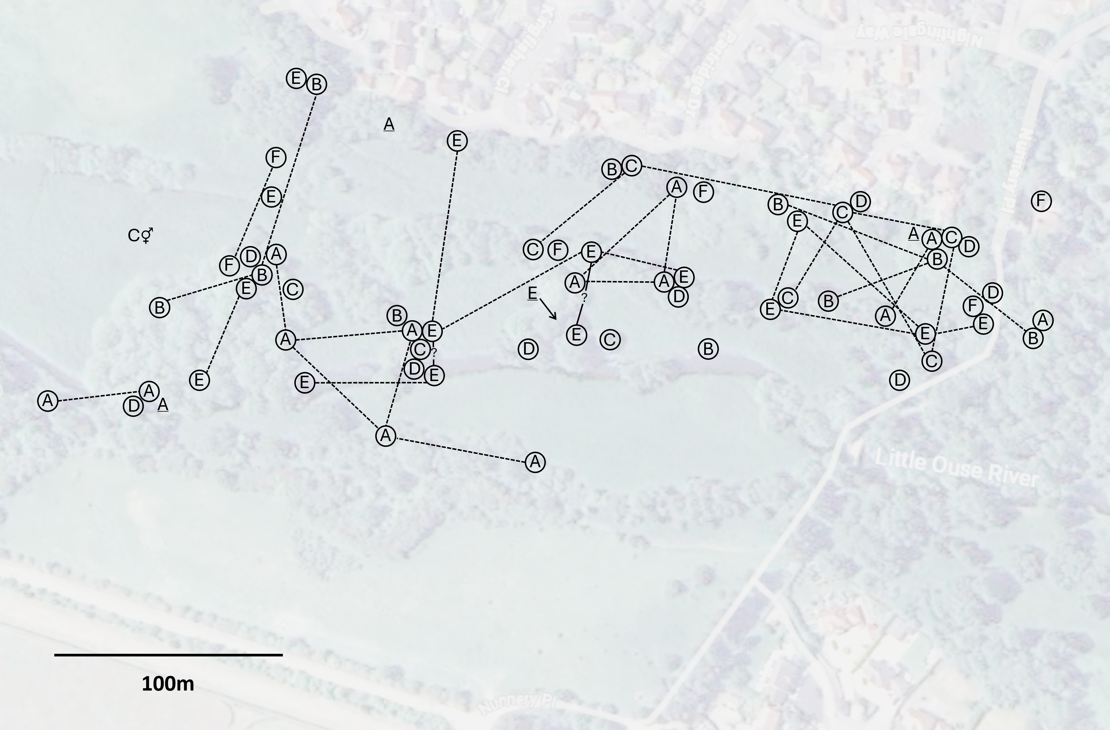 Territory map showing different wren registration over a nature reserve