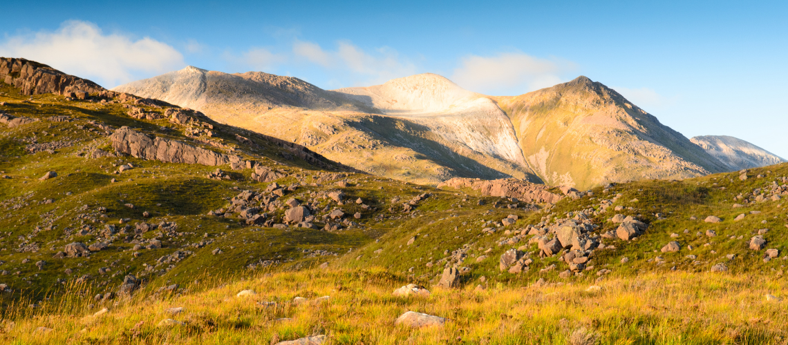  Many protected areas are upland sites, such as Beinn Eighe (Wester Ross, Scotland). These areas tend to support lower species diversity, but higher numbers of rare or specialist species which are particularly vulnerable to climate change.