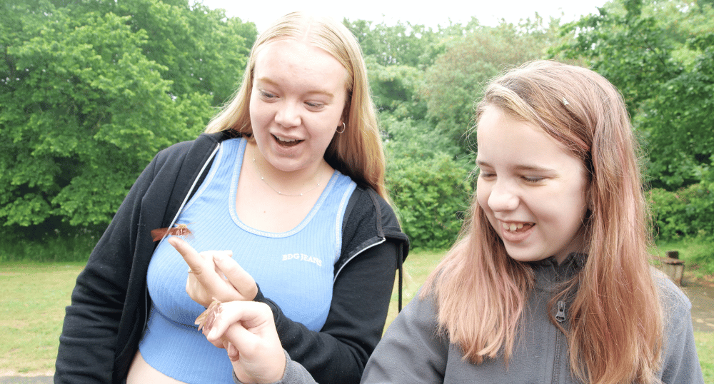 Bird Camp Wales participants saw Elephant Hawk-moths in the moth traps. BTO Youth