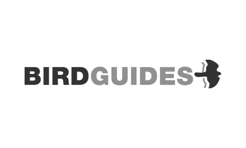 birdguides logo