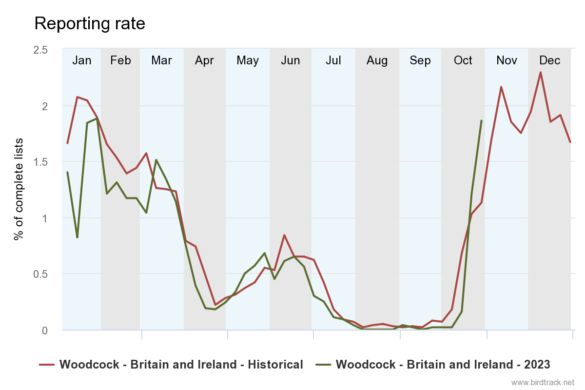 The graph showing the BirdTrack reporting rate for Woodcock in 2023 and historically reveals a large influx of this species to the UK slightly earlier than is expected in the autumn months. 