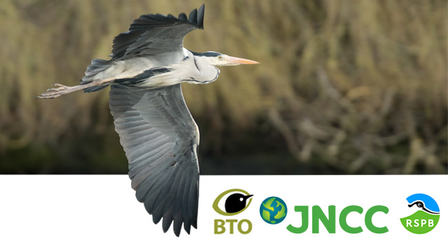 BirdTrends Report produced by BTO, JNCC and RSPB
