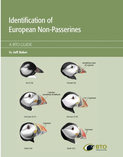 Identification of European Non-Passerines
