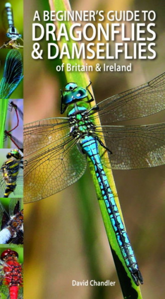 A Beginners Guide to Dragonflies and Damselflies (cover)