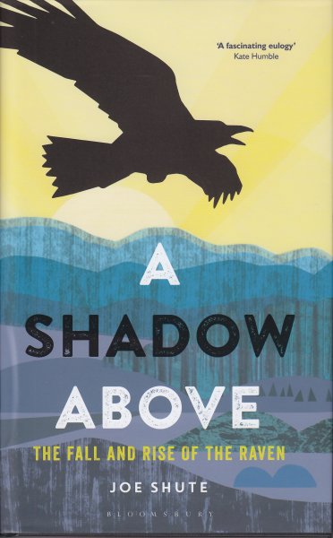 A Shadow Above