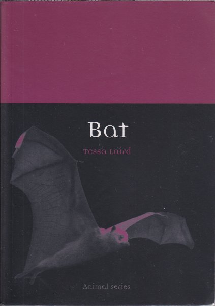 Bat, by Tessa Laird (cover)