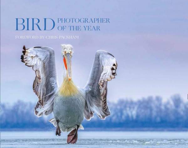 Bird Photographer of the Year 4 (cover)