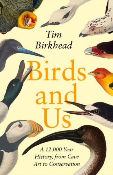 Birds and Us (cover)