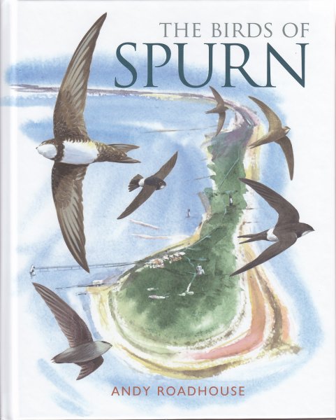 Birds of Sprun