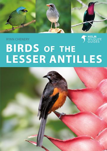 Birds of the Lesser Antilles (cover)
