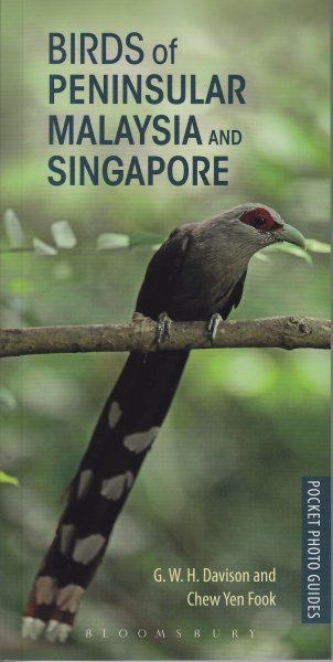 Birds of Peninsular Malaysia and Singapore