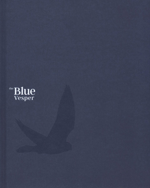 Blue Vesper book cover