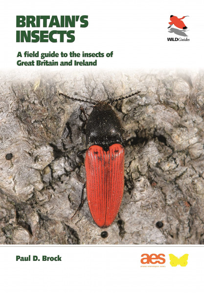 Britain’s Insects: A Field Guide to the Insects of Great Britain and Ireland