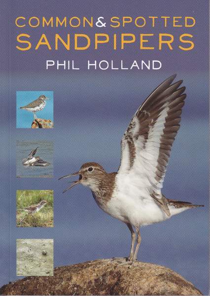 Common and Spotted Sandpipers cover