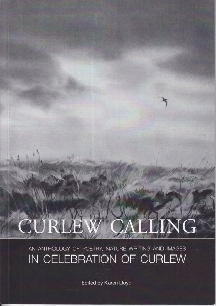 Curlew Calling