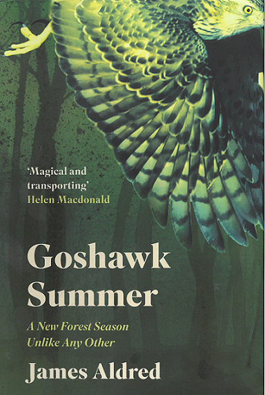 Goshawk Summer (cover)