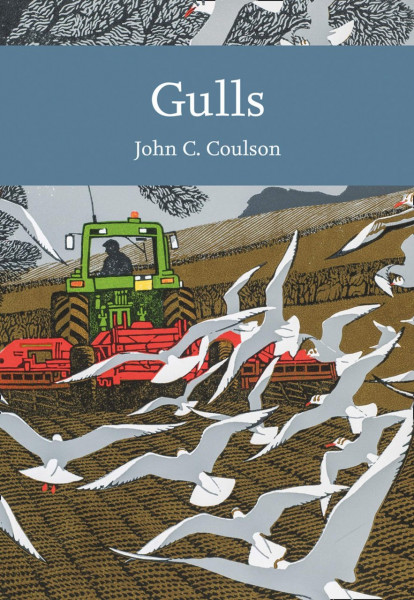 Gulls (cover)