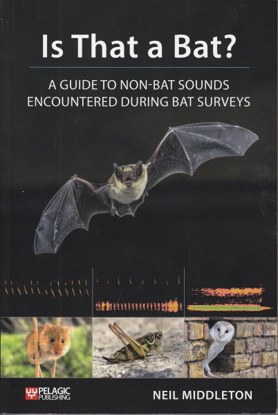 Is That A Bat (cover)