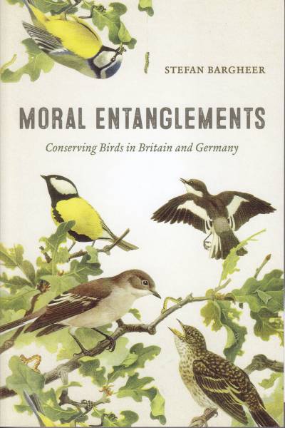 Moral entanglements