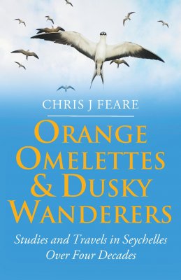 Orange Omelettes and Dusky Wanderers