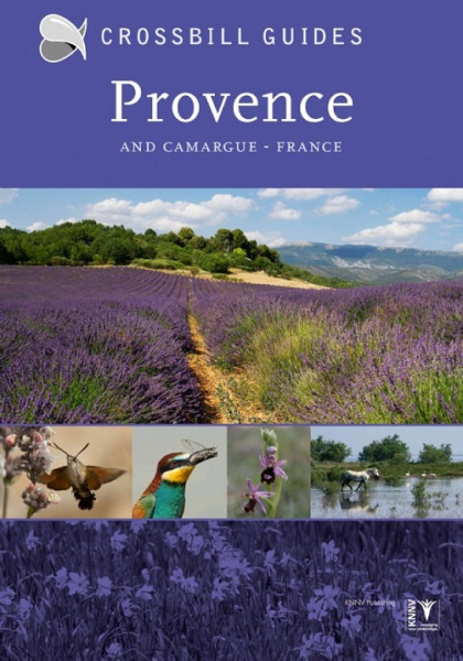 Provence and Camargue (cover)