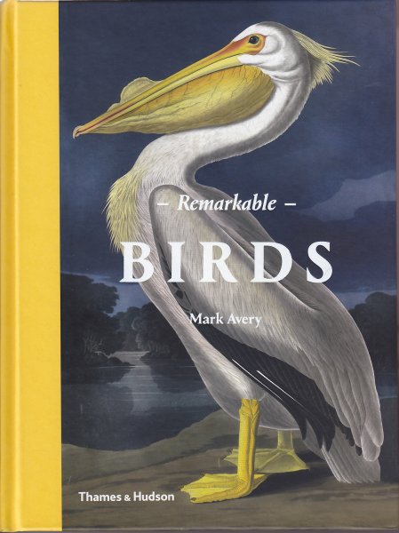 Remarkable Birds