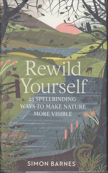 Rewild Yourself: 23 Spellbinding Ways to Make Nature More Visible