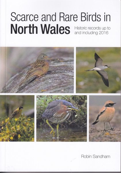 Scarce and Rare Birds in North Wales