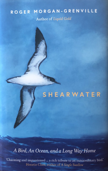 Shearwater (cover)