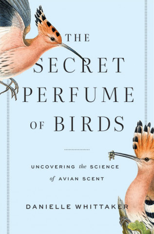 The Secret Perfume of Birds (cover)