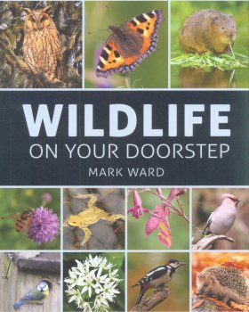 Wildlife on Your Doorstep
