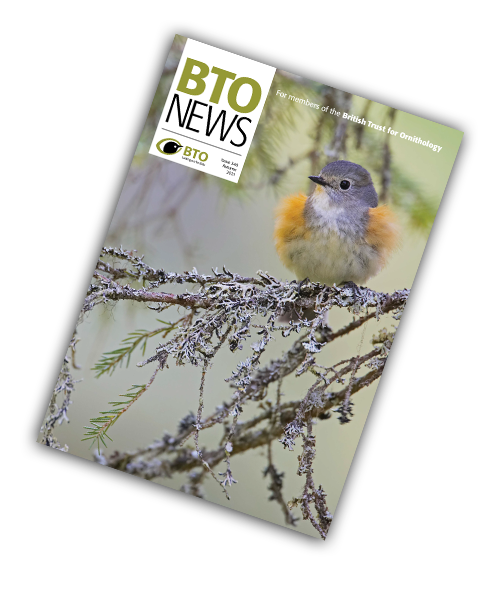 BTO Membership Magazine - BTO News