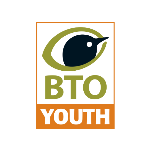 BTO Youth Logo