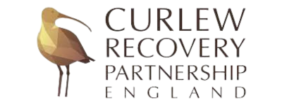 Link to Curlew Recovery Partnership England Homepage