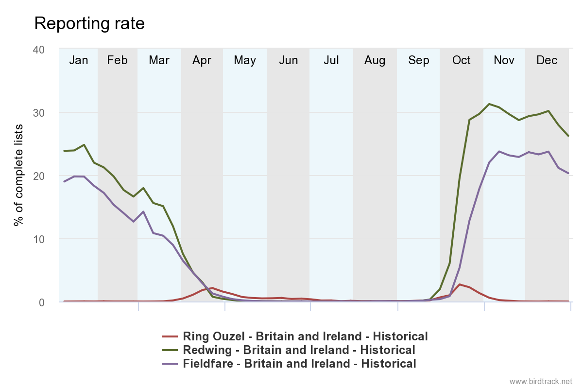 The BirdTrack reporting rate for Redwing, Fieldfare and Ring Ouzel shows the comparatively larger numbers of Redwing and Fieldfare which winter in Britain and Ireland, and the earlier arrival of Redwing than the other two species.