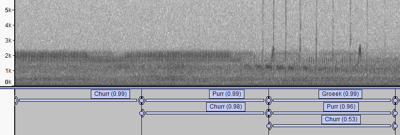 Spectrogram image with labels for churring, purring and ‘groeek’ calls, generated automatically from applying the Nightjar call-types classifier in the BTO Acoustic Pipeline.