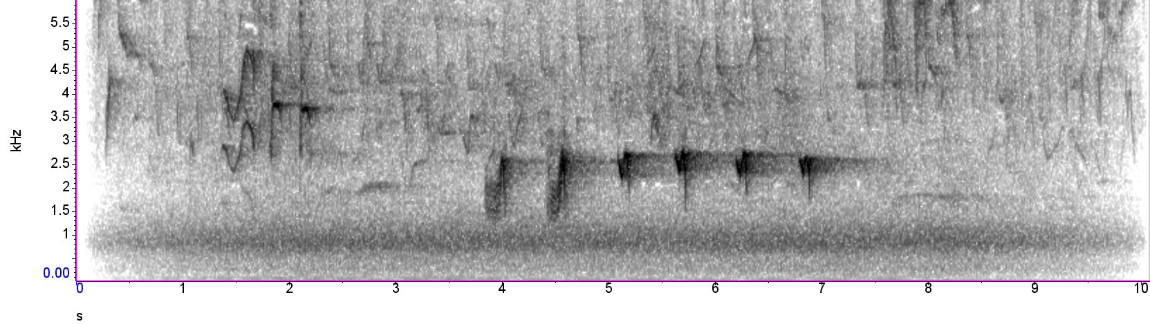 Spectrogram image of a Song Thrush weaving mimicry of Nightjar groeek calls into its song, by Carlos Abrahams