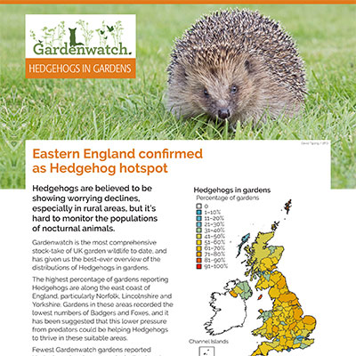 Gardenwatch - Hedgehog guide cover
