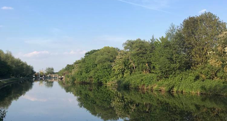 River Cam, Andy Clements.