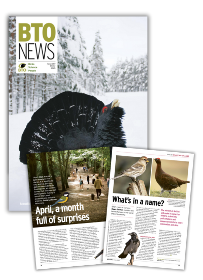 BTO News Winter 2025