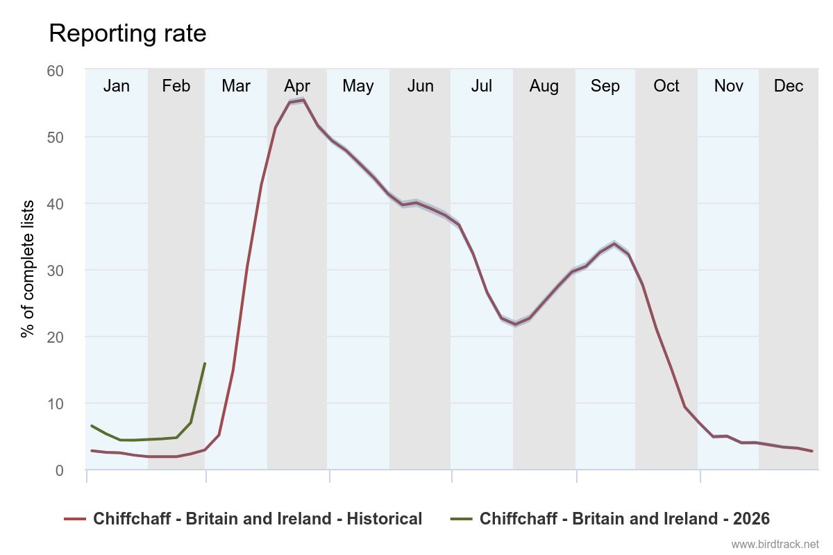 BirdTrack reporting rate, Chiffchaff 
