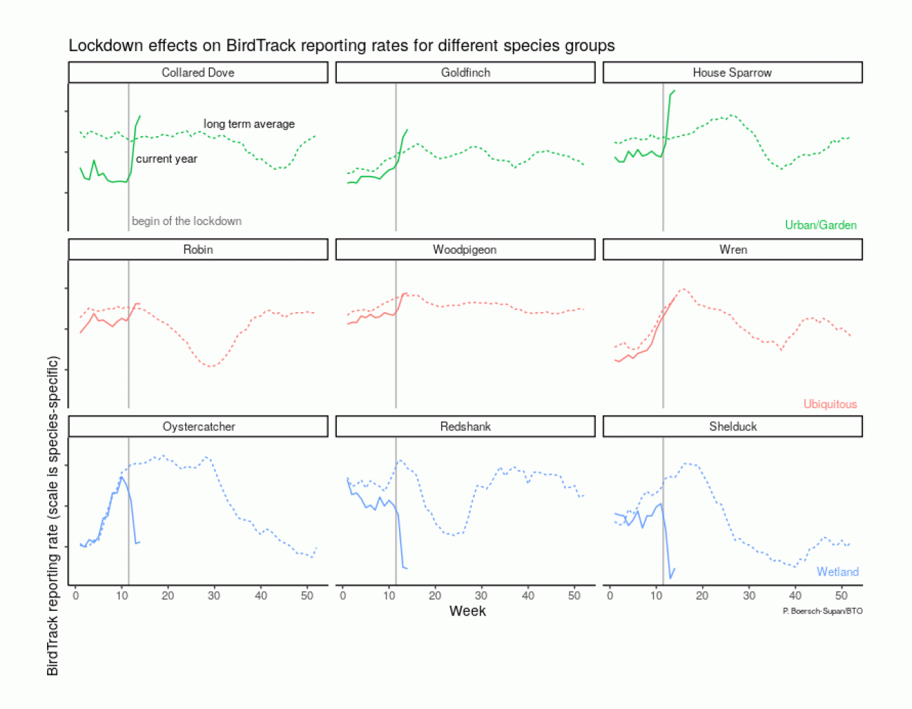 BirdTrack lockdown reporting rates (annotated), by Philipp Boersche-Supan
