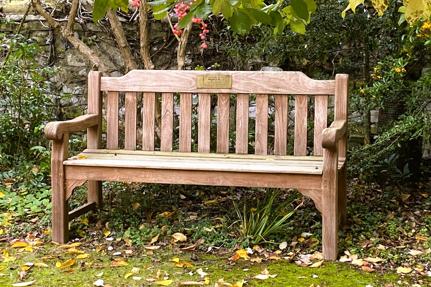 Memorial bench in The Nunnery, BTO headquarters, Thetford, UK. Photo by Sam Rider.